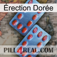 Érection Dorée 05
